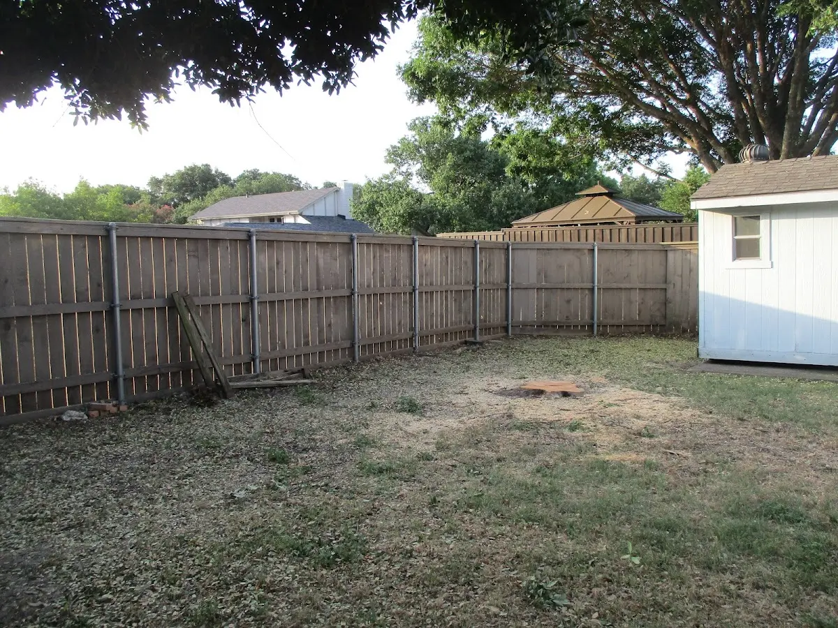Cleared yard after professional tree removal in Camden Wyoming