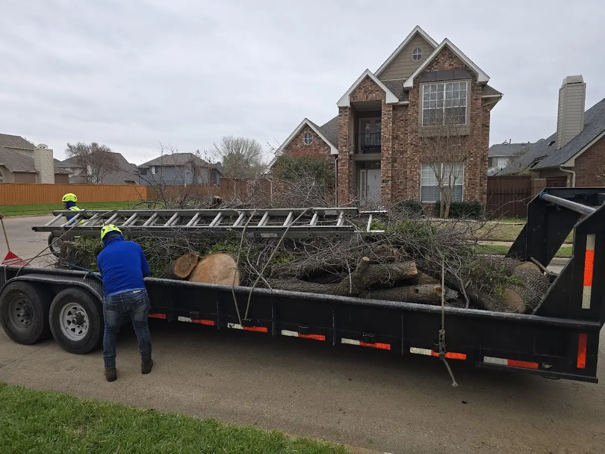 Expert Tree Fertilization with proper safety equipment in Camden Wyoming